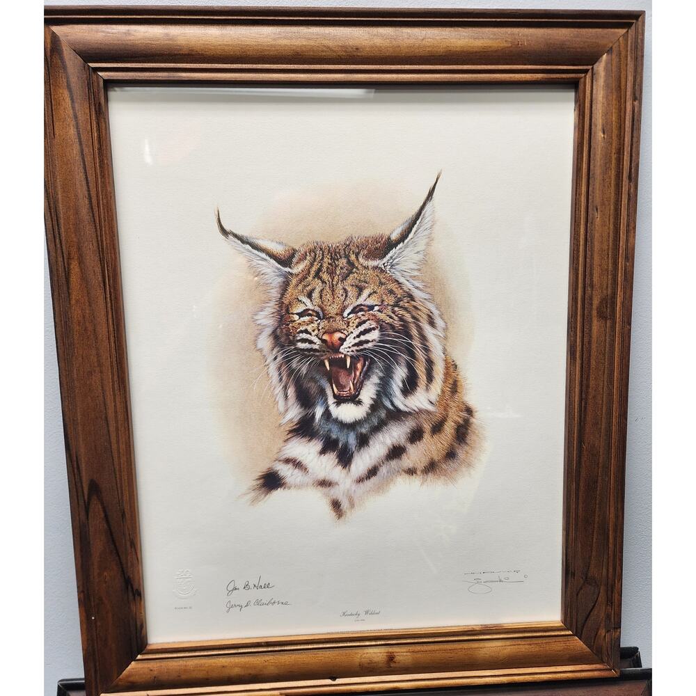 Jim Oliver Kentucky Wildcat Lithograph Plate 32 Signed Embossed Framed Art
